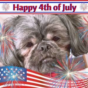 Meet your Posher, Brian lisa